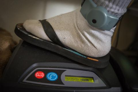 Ankle monitors on defendants can provide relief to victims