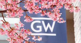 Cherry blossoms framing a GW campus banner