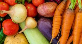 Vegetables in a bunch, carrots, onions, tomatoes, potatoes, eggplants.