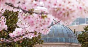 Campus Spring