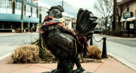 Takoma Park Roscoe the Rooster