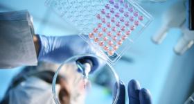 Stock image of lab work