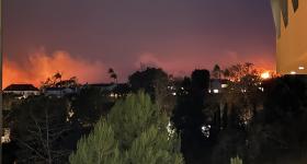 A view of the Palisades Fire