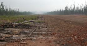 A road built on thawing permafrost with logs used to stabilize frozen ground.