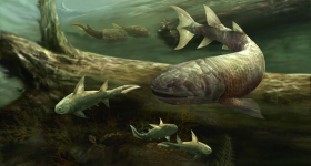 Illustration of early tetrapods and tetrapod-like fishes in the water