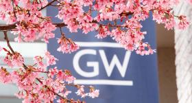 Blossoms on campus