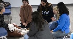 GW students pet a dog