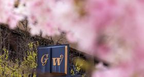 GW arch surrounded by pink flowers