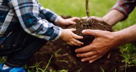A father an young son garden together