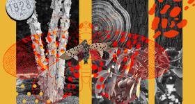 Collage on spotted lanternfly theme by Lauren Gillespie